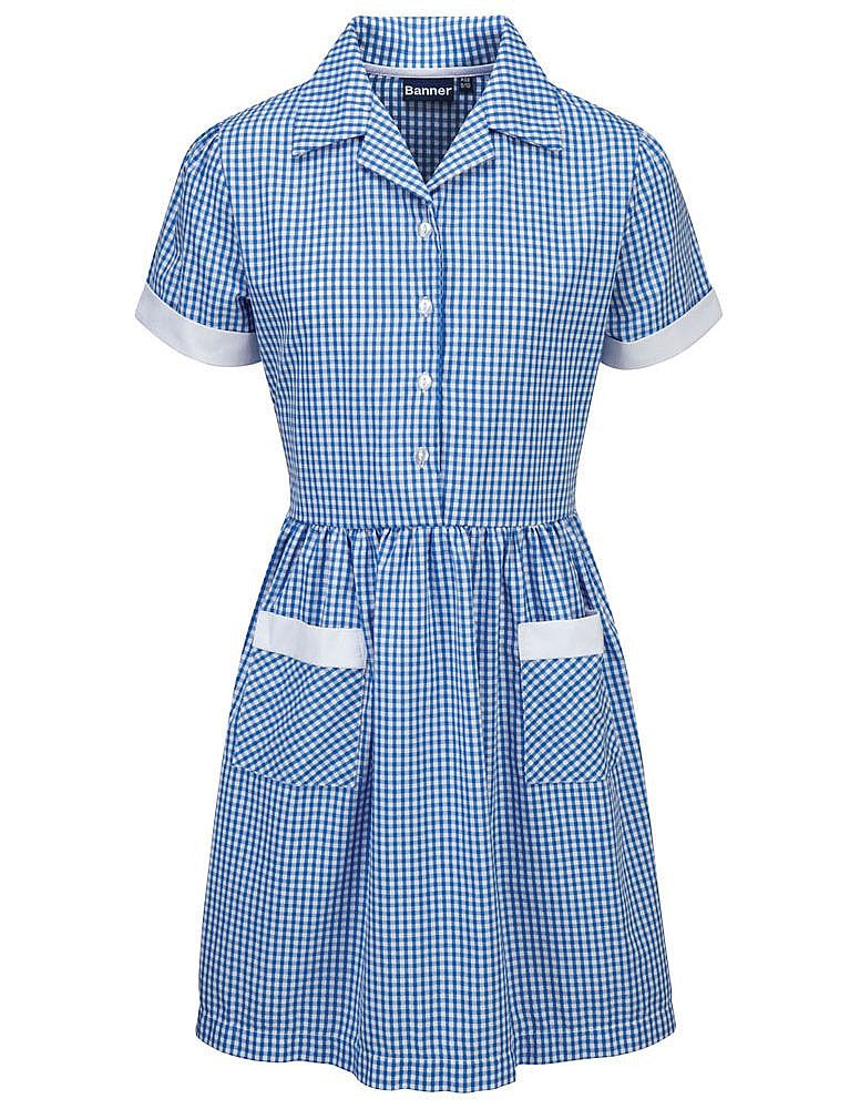 Ayr Corded Gingham Dress BLUE