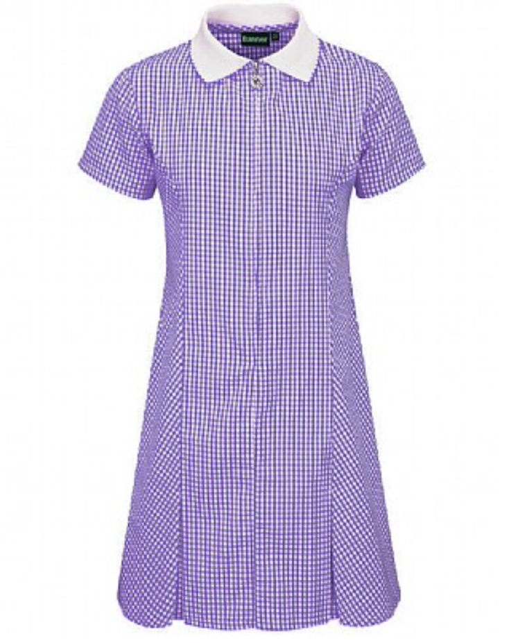 Avon Corded Gingham Dress PURPLE