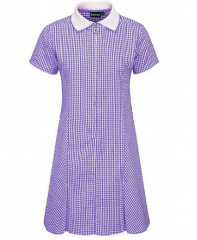 Avon Corded Gingham Dress PURPLE