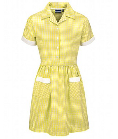 Ayr Corded Gingham Dress YELLOW