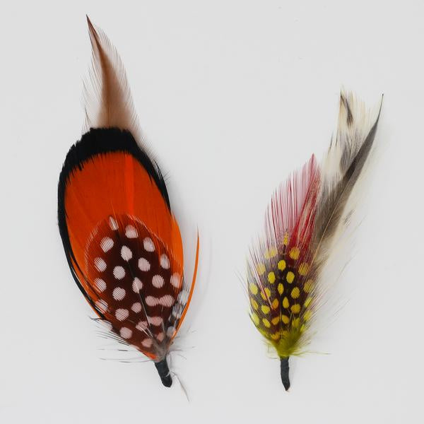 Hat Feathers - Set of 8